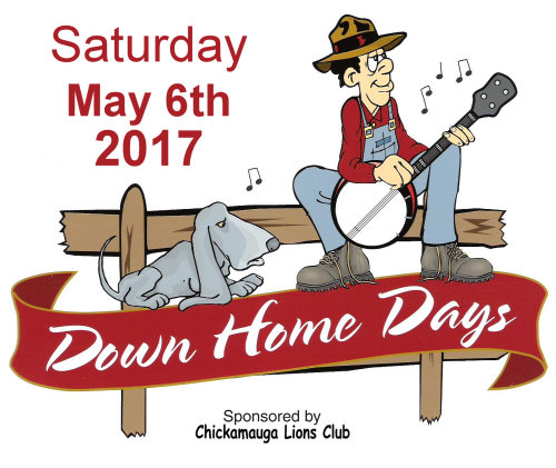 Down Home Days Street Festival 2016